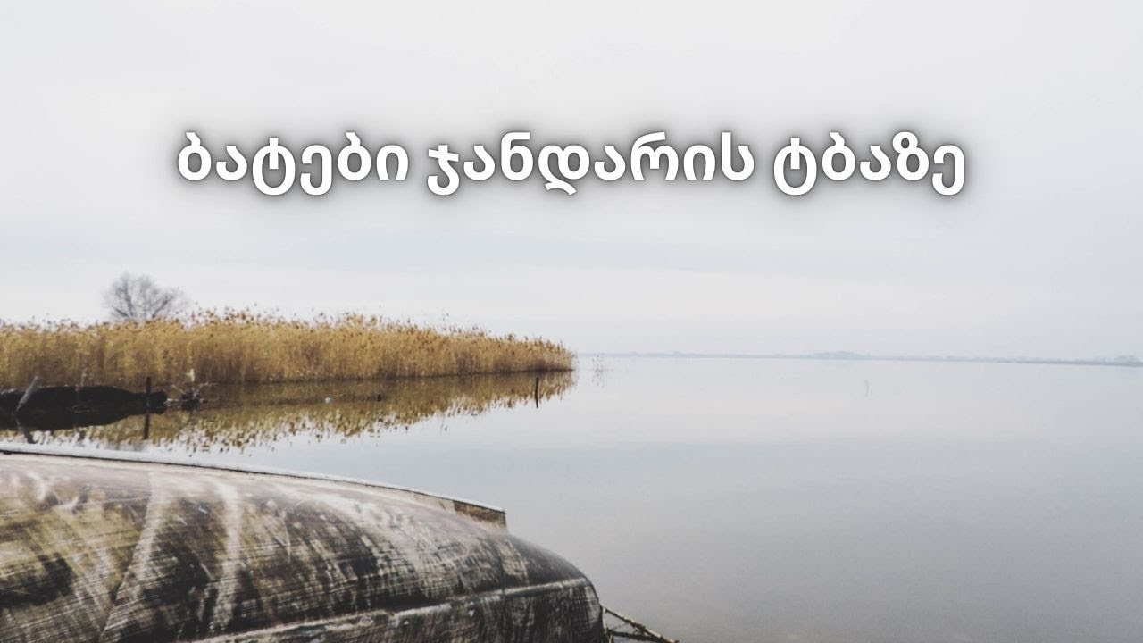 ბატები ჯანდარის ტბაზე