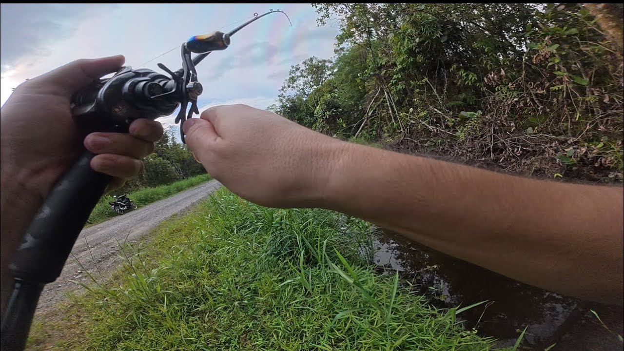 casting bujuk Daiwa tatula sv