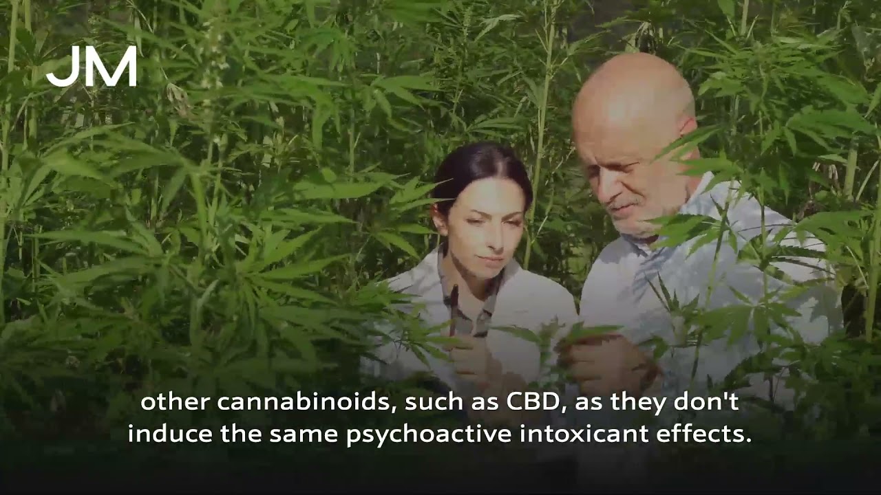 Johnson Matthey Ultra Pure Synthetic Cannabidiol