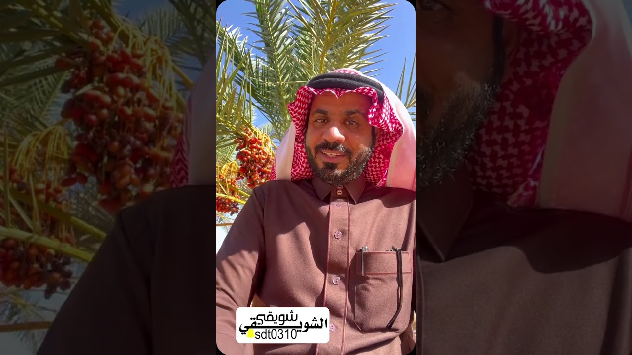 نصحه ابوه ولاكن ماطاع النصيحة شوفو النتيجة