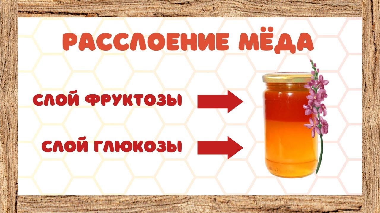 Почему расслаивается мёд