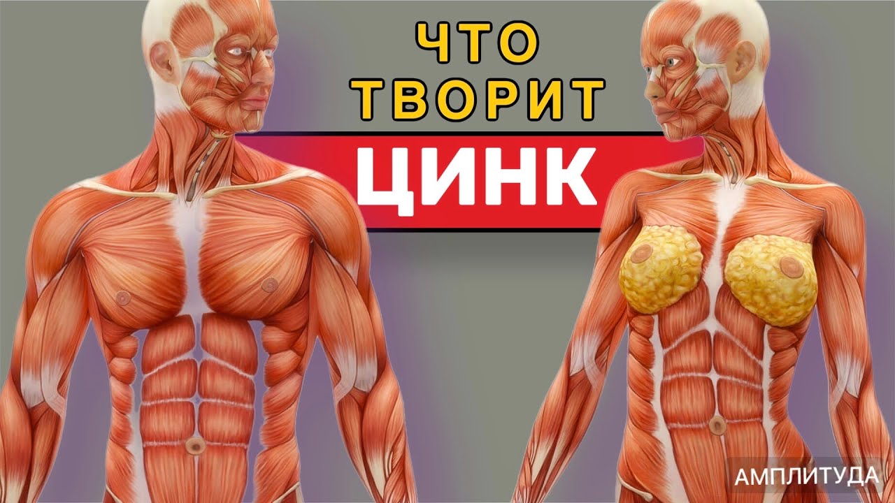 Что будет если принимать ЦИНК каждый день ?  Можно ли ?!