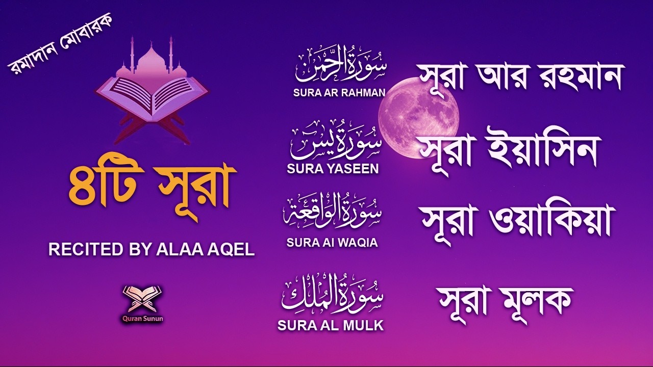 মনজুড়ানাে সুন্দর তিলাওয়াত। Sura Ar-Rahman,Yaseen, Waqiah, Mulk | Quran Tilawat by Alaa Aqel