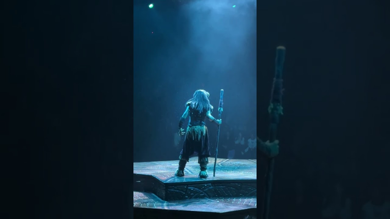 The Lion King show at Disney Land Hong Kong