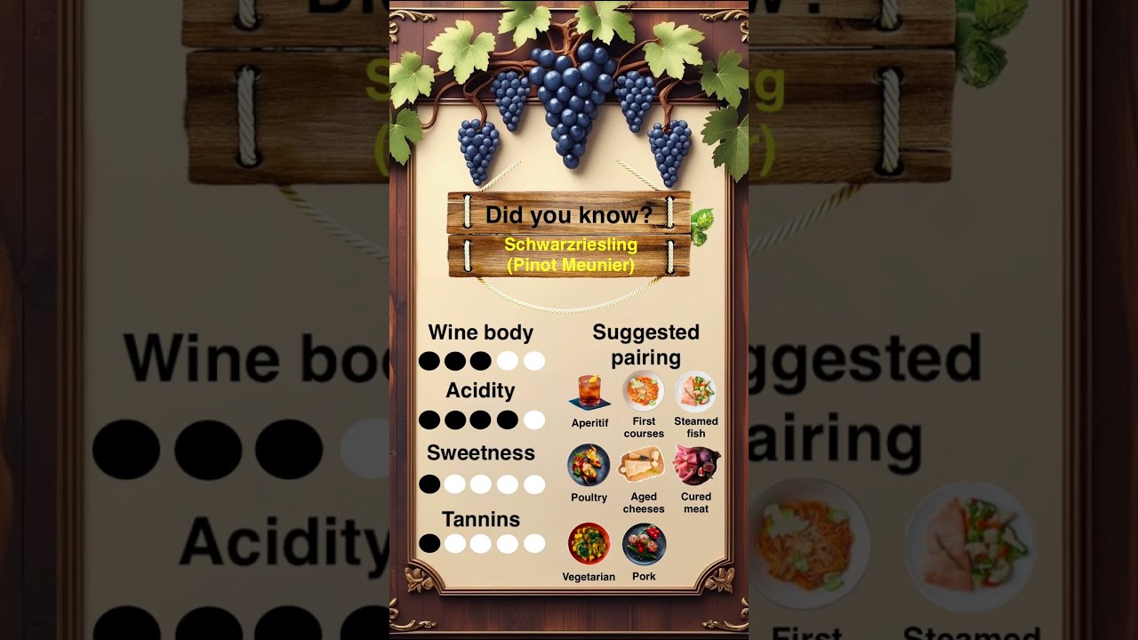 Characteristics of Schwarzriesling grape. #shorts #wine  #vino #wineacademy #sommelier