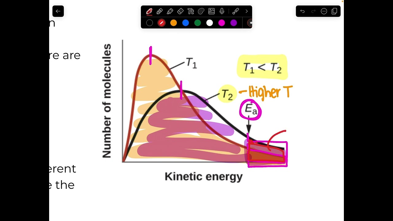 Introduction to Reaction Mechanisms