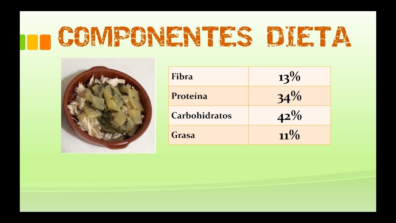 Comida casera- Dieta Perro Diabético (Nutrientes)