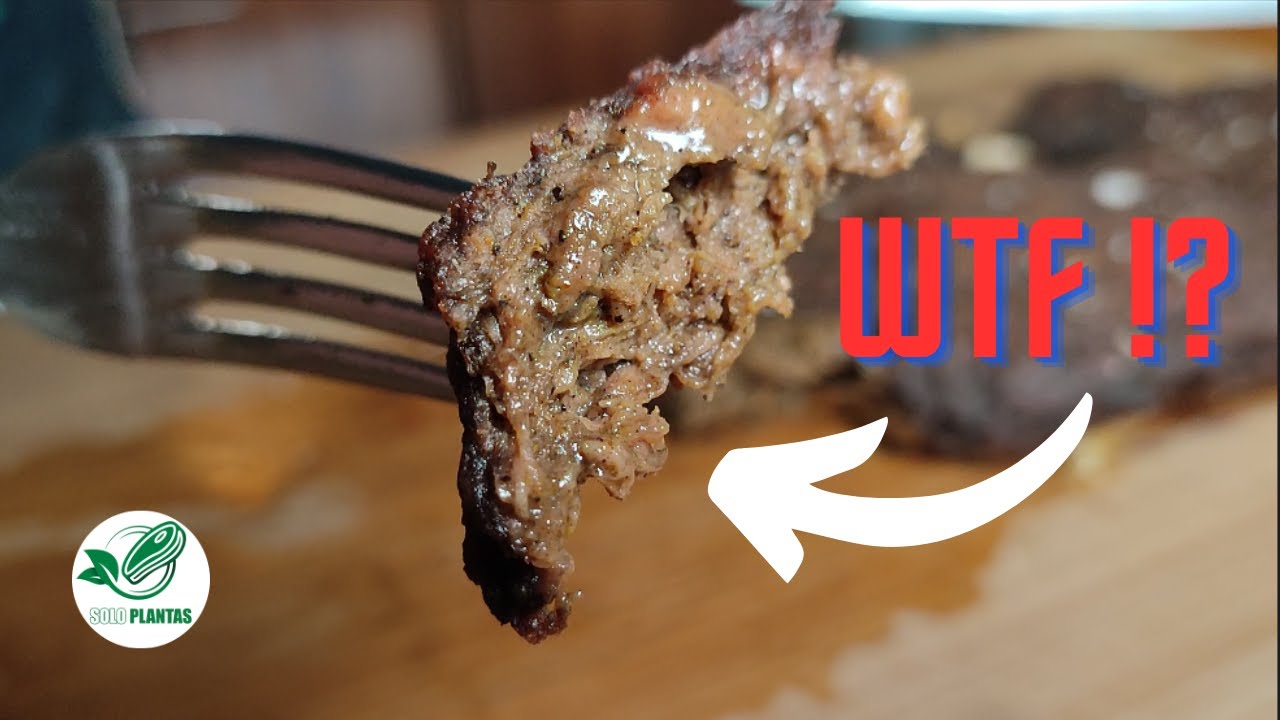 La MEJOR alternativa a la carne ?!