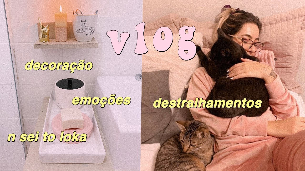 VLOGÃO: montanha russa de emoções, decoração e mais destralhamentos