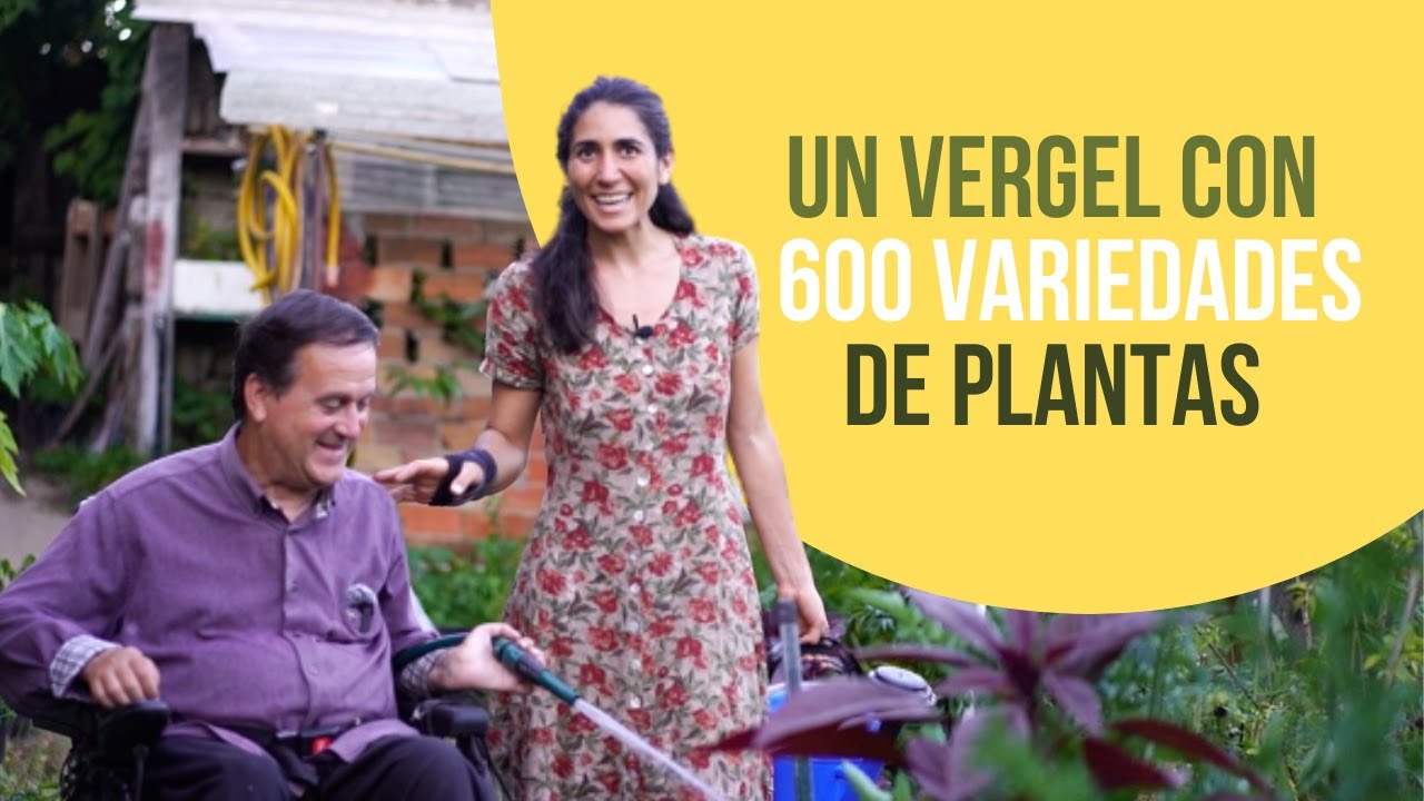 MORINGA y ORA PRONOBIS dos PLANTAS para la SOBERANÍA