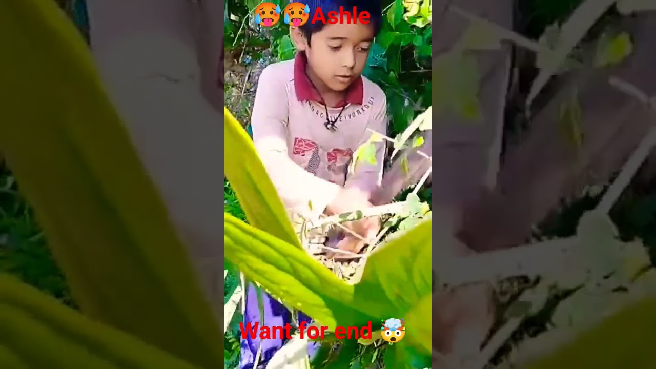 boy's attudate#