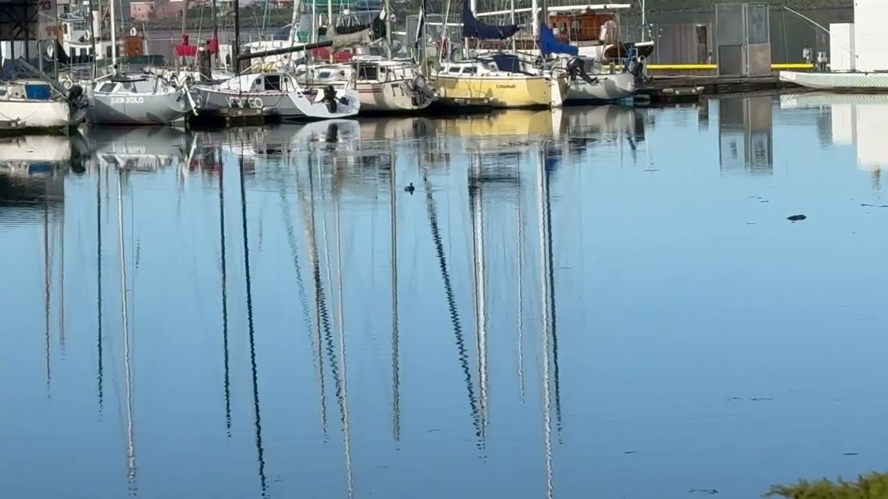 Peaceful Morning at the Harbor