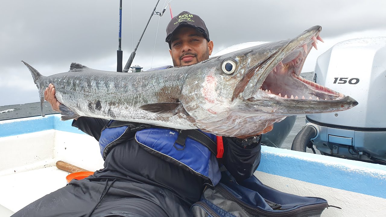 DEEP SEA HANDLINE FISHING - HUGEEE BARRACUDA CAUGHT - 25 Miles Offshore - Trinidad, Caribbean