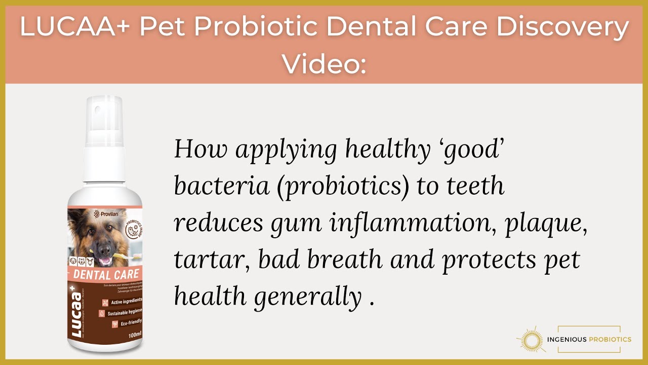 LUCAA+ Pet Probiotic Dental Care Discovery Video