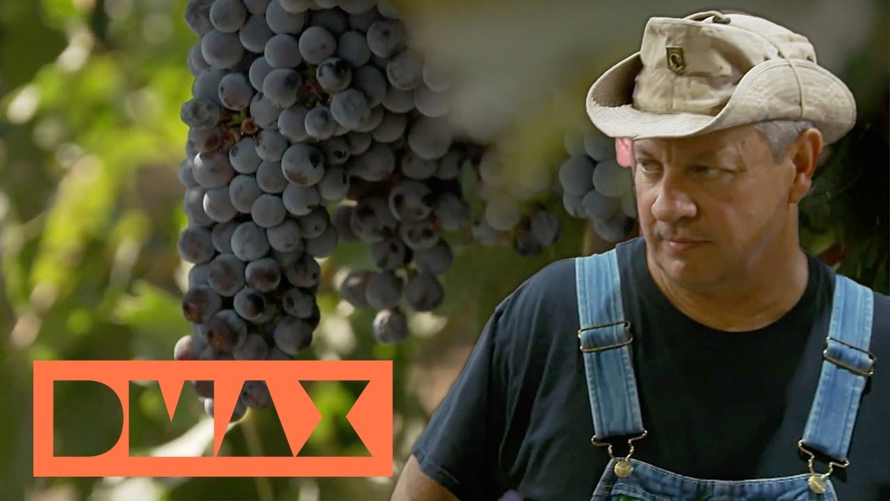 Von Goldgr&auml;bern & Traubenbrand | Moonshiners: American Spirit | DMAX Deutschland