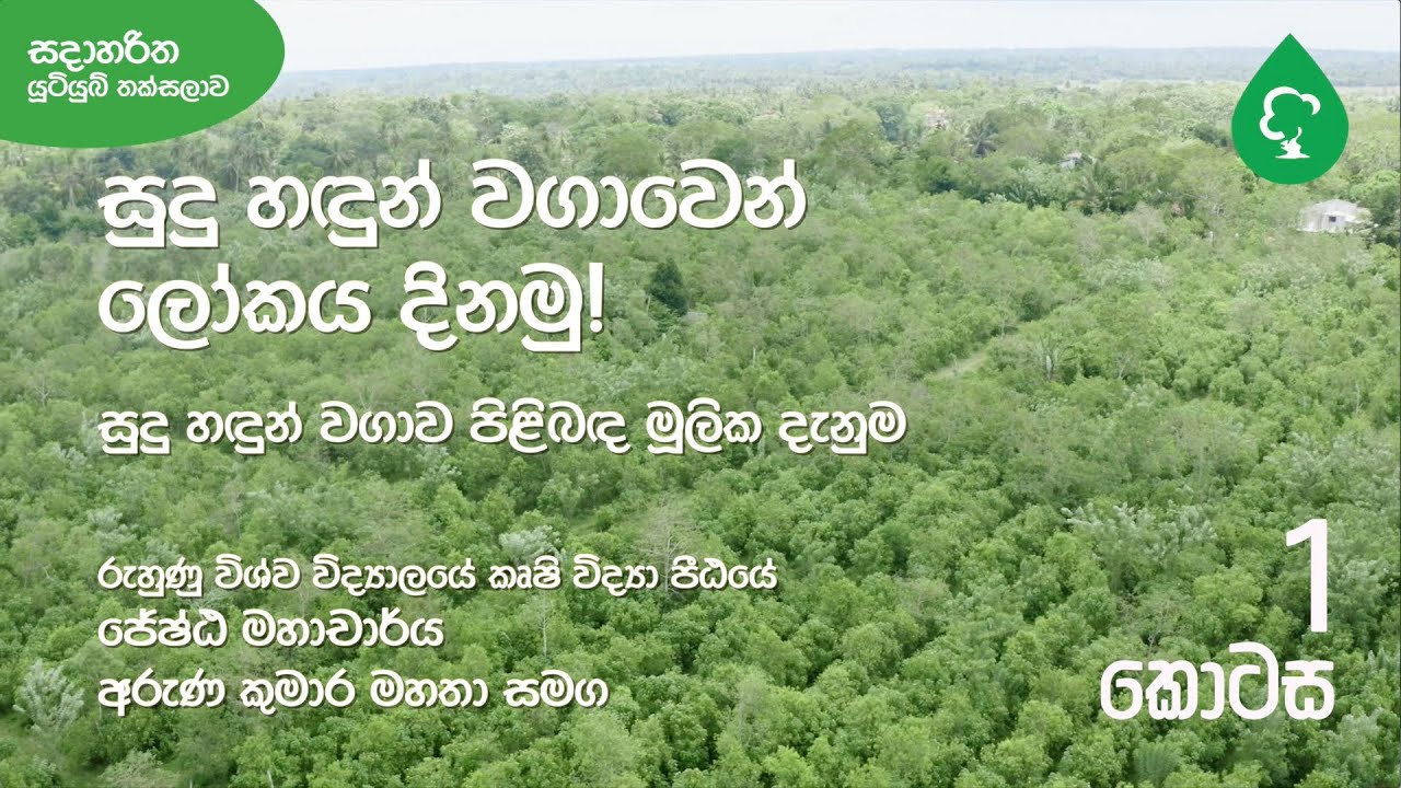 සුදු හඳුන් වගාව පිළිබඳ මූලික දැනුම 1 කොටස. Sandalwood  Cultivation in SL | Prof. Aruna Kumara E01