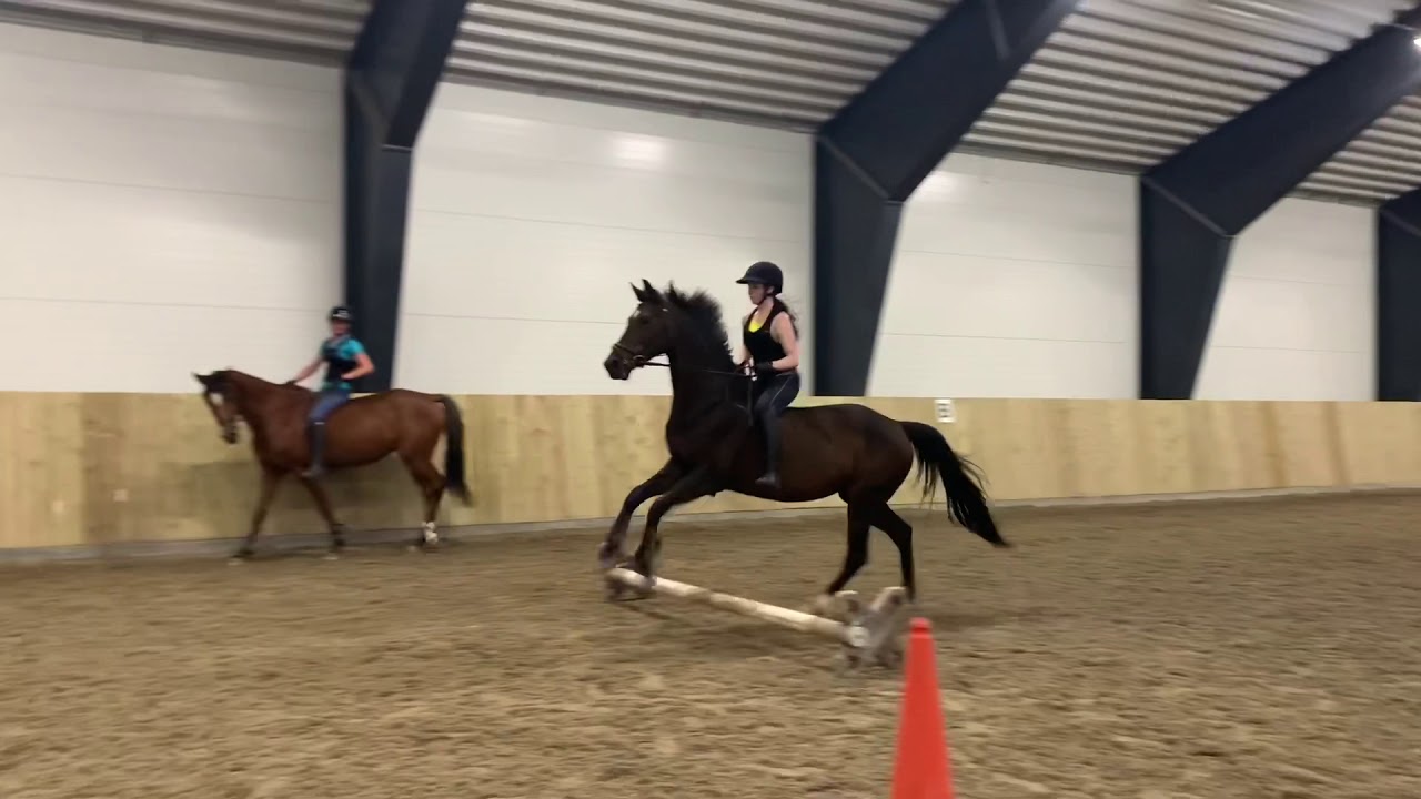 barbak med elle