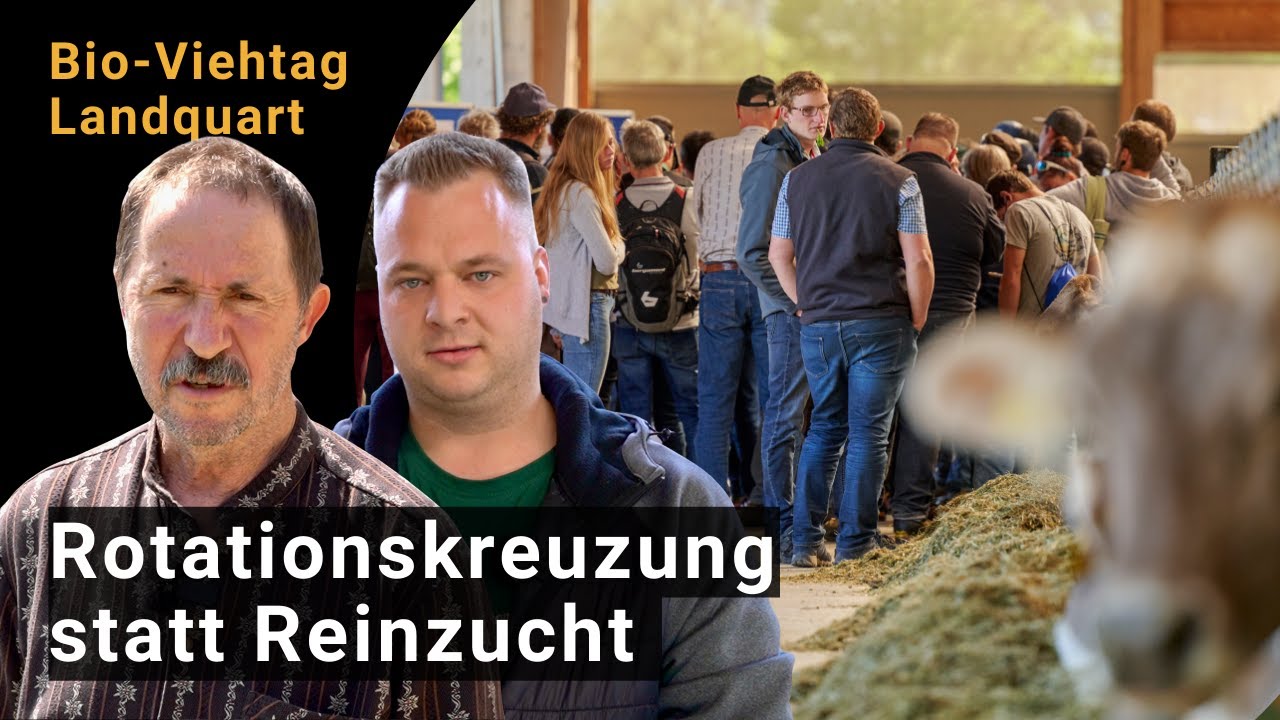 Erfahrungen mit der Rotationskreuzung (mit Andreas Melchior und Marc Grüter)