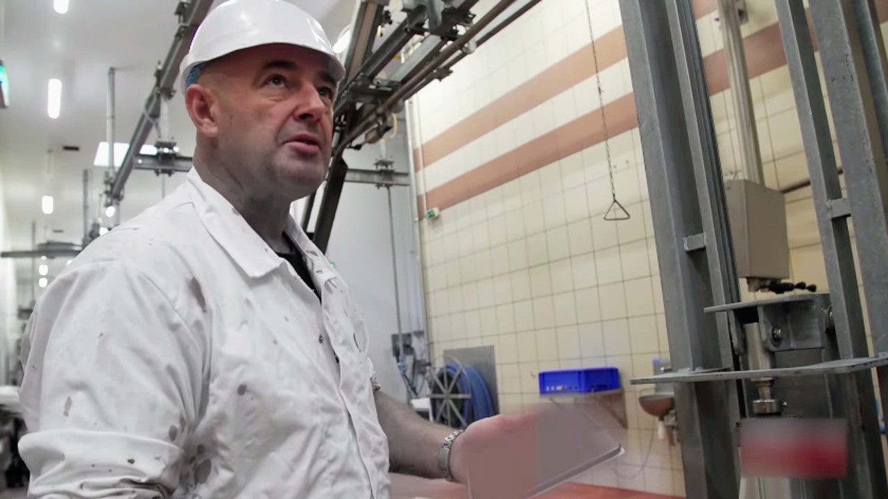 Les activistes en guerre contre les abattoirs