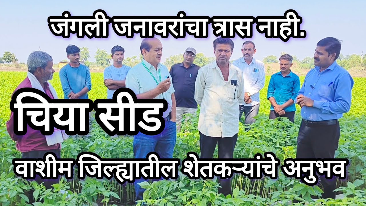 चिया पेरणारे शेतकरी व अधिकारी यांचे अनुभव आपल्यासाठी.