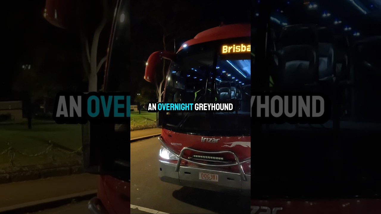 17 часов из Сиднея в Брисбен на ночном автобусе #путешествие #ночнойавтобус #автобус #борзая #авс...