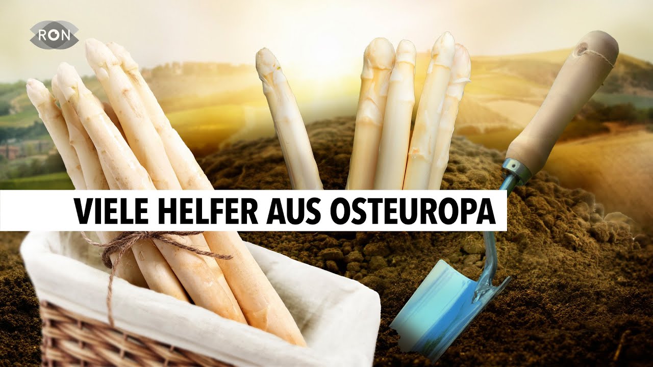 Fr&uuml;her Start in die Spargel-Saison | RON TV