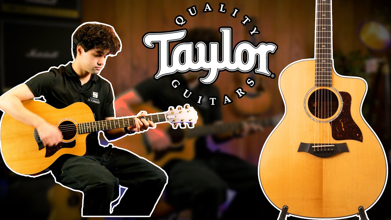 Taylor 214ce Plus LTD 50th Anniversary DEMO | Souman Music