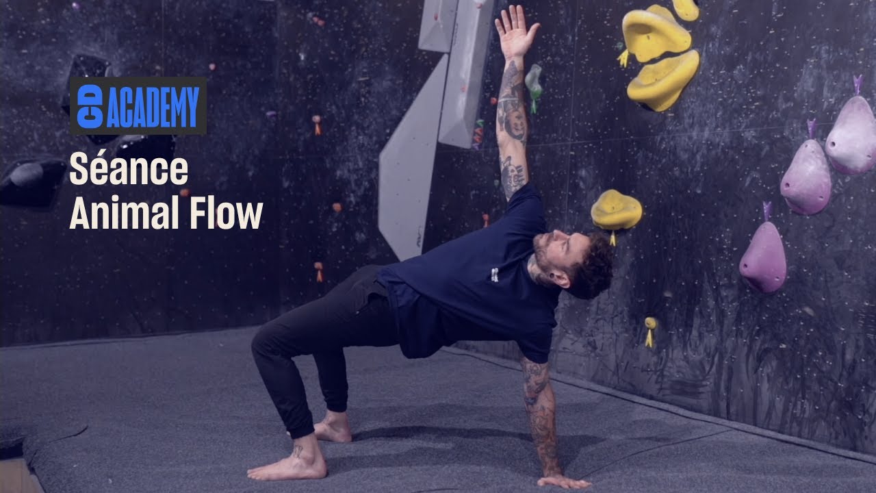 Animal Flow : 10 Minutes d’Entraînement Complet pour Booster Gainage & Mobilité