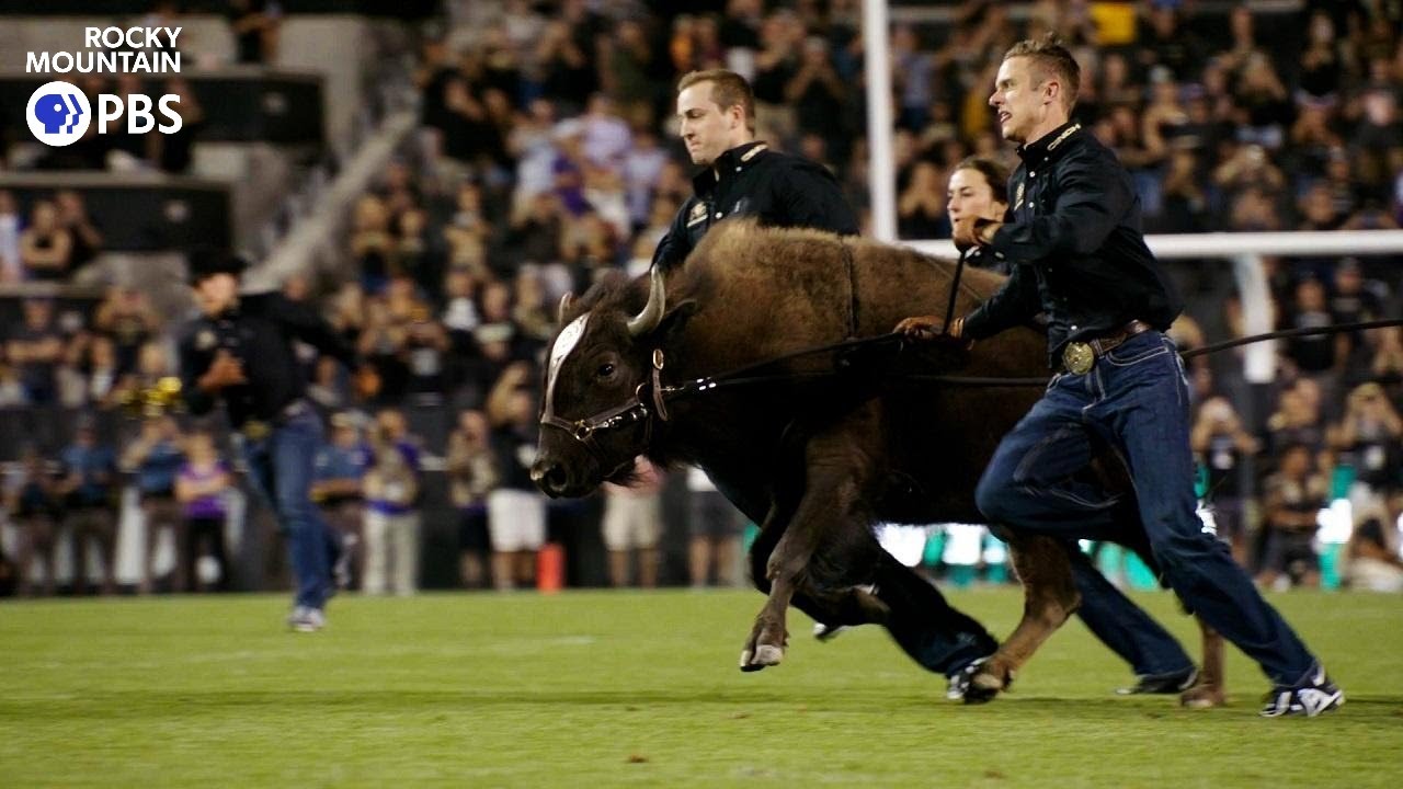 What it takes to run Ralphie