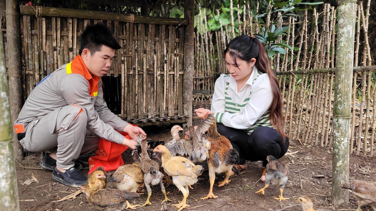 I was very surprised to receive a flock of chickens from that man.
