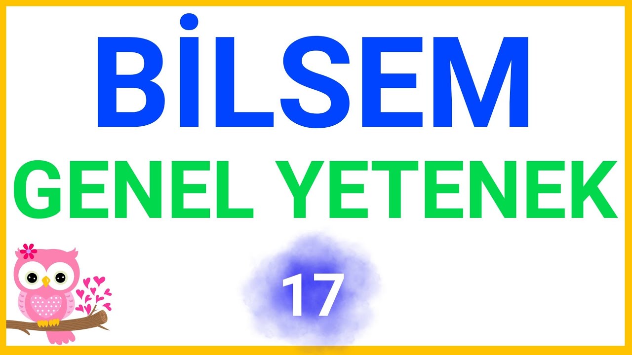 Bilsem Sınavı 2022 | Genel Yetenek Soruları | Matris | 1, 2, 3 ve 4. Sınıf | #17