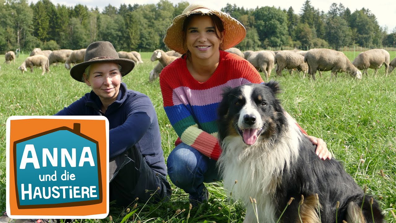 Ein Tag bei der Schäferin | Information für Kinder | Anna und die Haustiere | Spezial