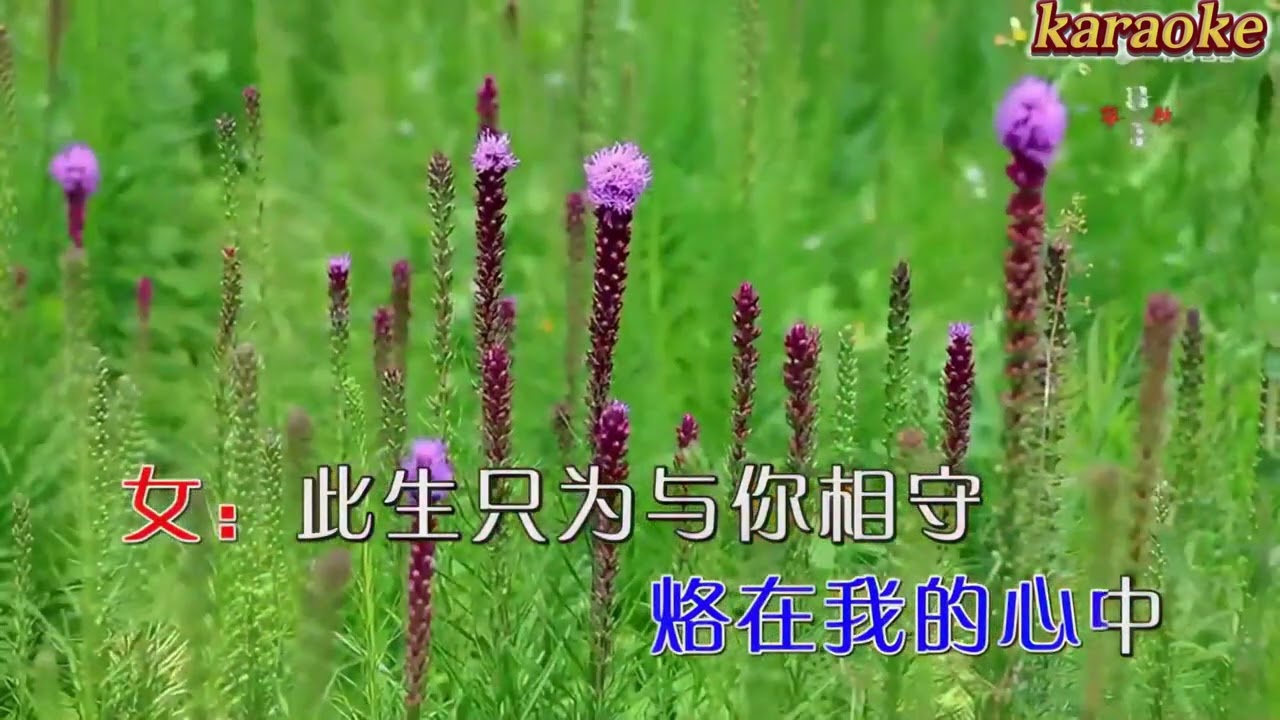 石倚潔 王一鳳 此生只為與你相守karaokeKTV 伴奏 左伴右唱 karaoke 卡拉OK 伴唱 instrumental石倚洁 王一凤 此生只为与你相守karaoke