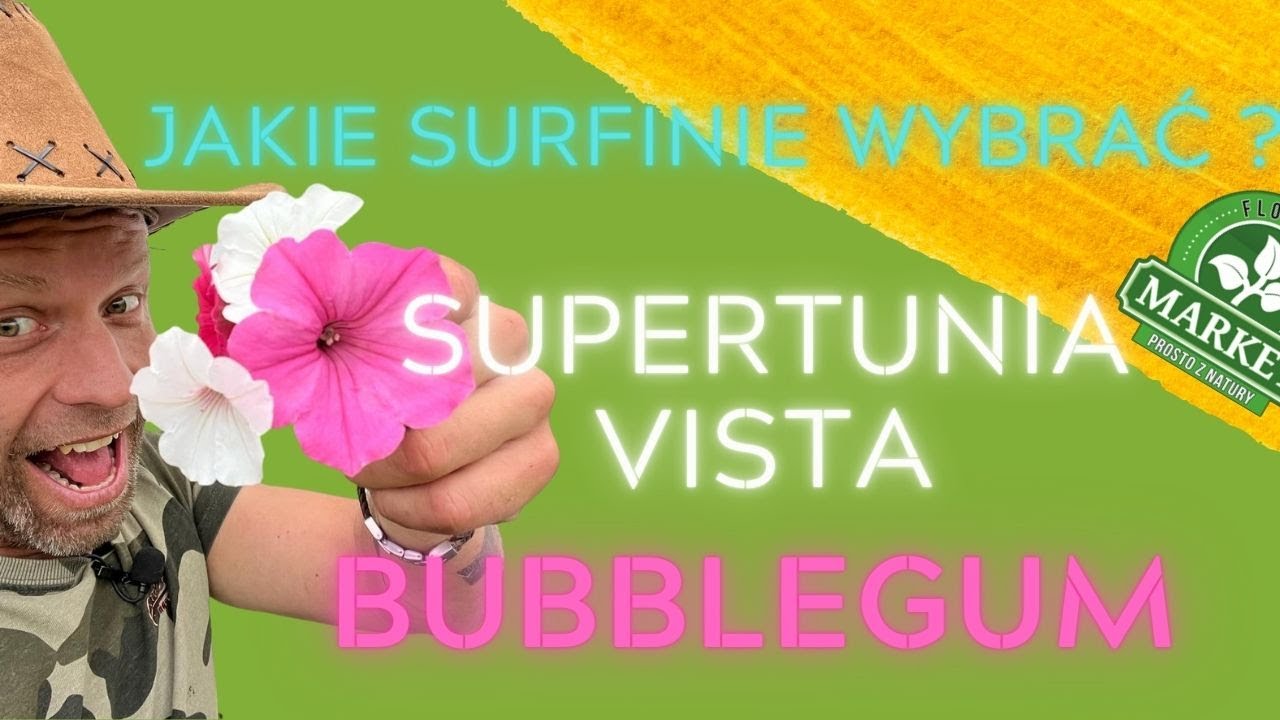 SUPERTUNIA VISTA BUBBLEGUM🌸 Seria ciekawych odmian surfinii🪴