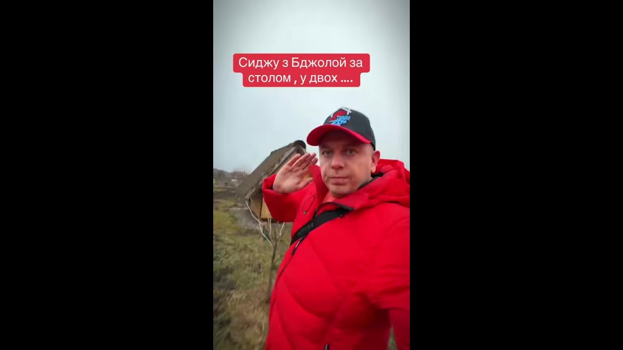 Лікувальні бджоли 