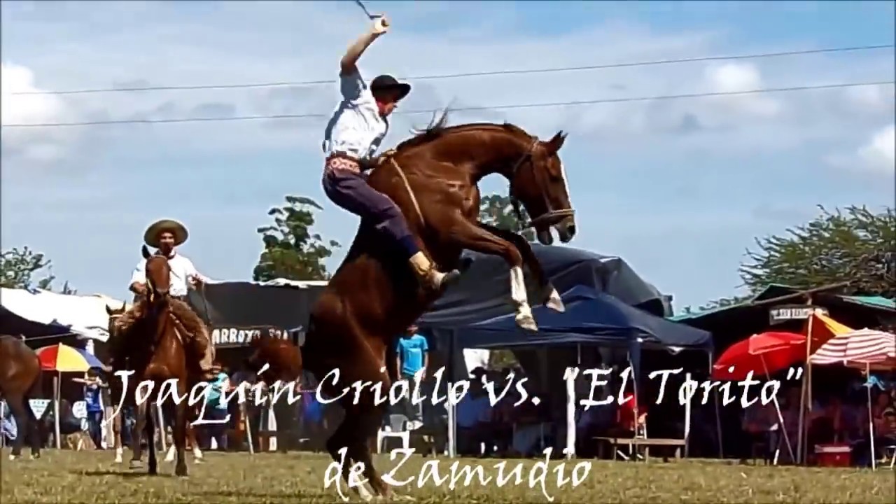 Jineteada Joaqu&iacute;n Griolio Vs  El Torito Zamudio 2017 Canal Agro Tv Campo Rural horse