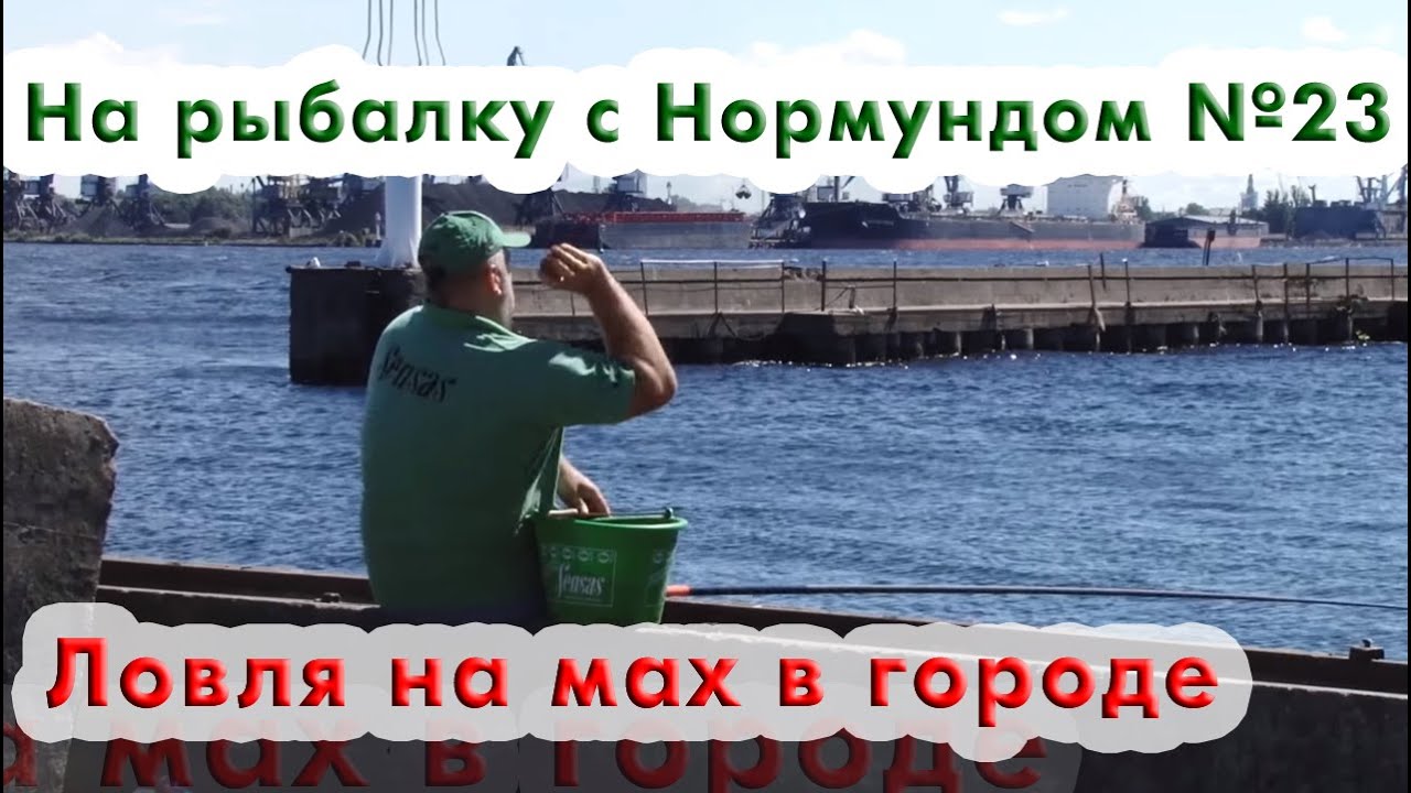 Ловля на маховую удочку в городе : На рыбалку с Нормундом #23