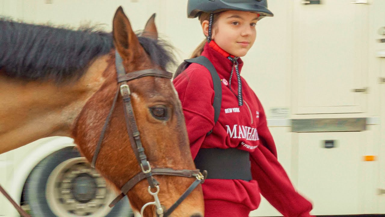 Miglioro le Mie Abilità in Maneggio: Trucchi e Consigli da Esperto Ettore
