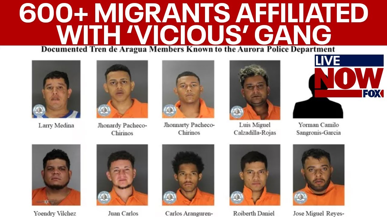 Border Crisis: 600+ migrants affiliated with 'vicious