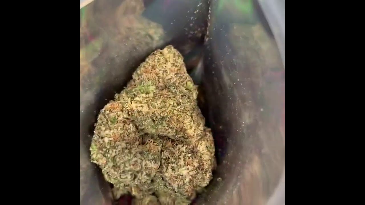 First Batch of Runtz from January 2019 🎩🍬 [Golden Drip Exotics] &bull; JOKES UP