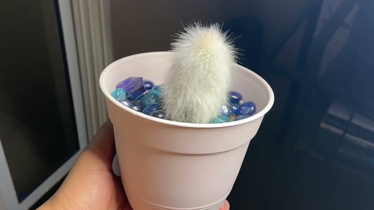 I’m a Gardener! 
