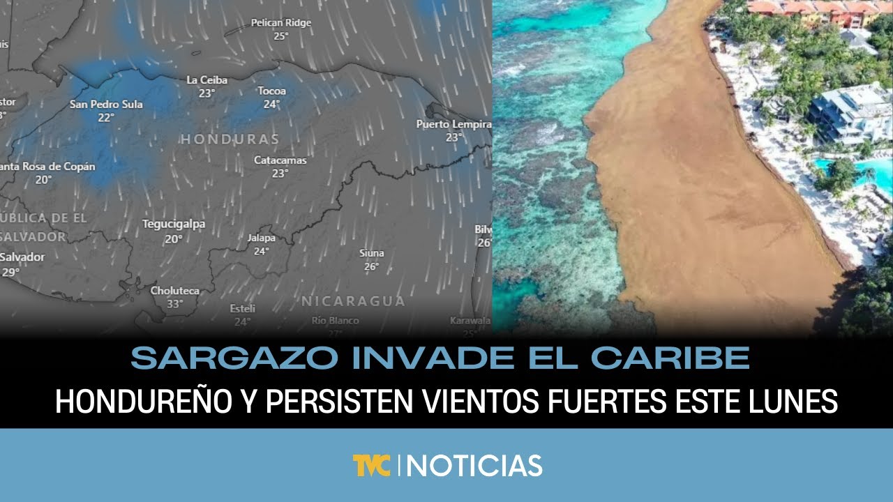 Sargazo invade el Caribe hondureño y persisten vientos fuertes este lunes