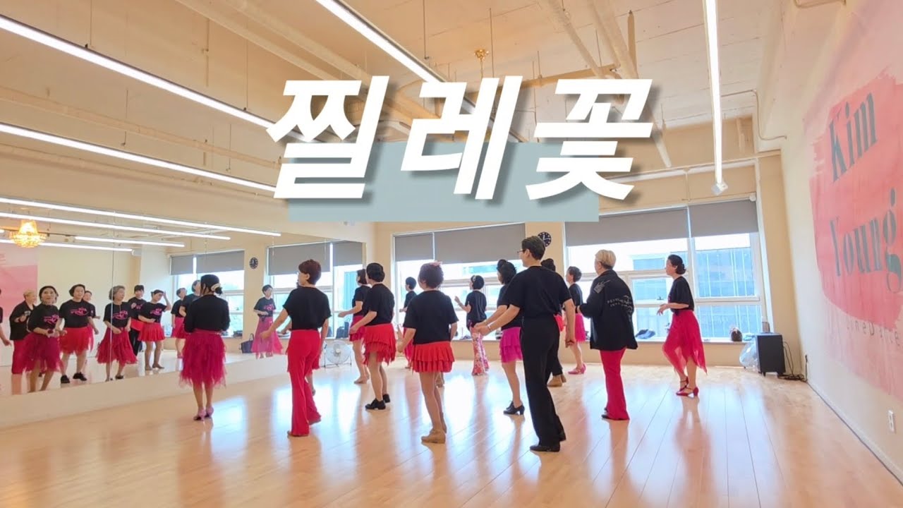 찔레꽃 라인댄스 |김영라인댄스 |파주운정라인댄스 |한국생활문화댄스협회 |민라인댄스코리아파주지부