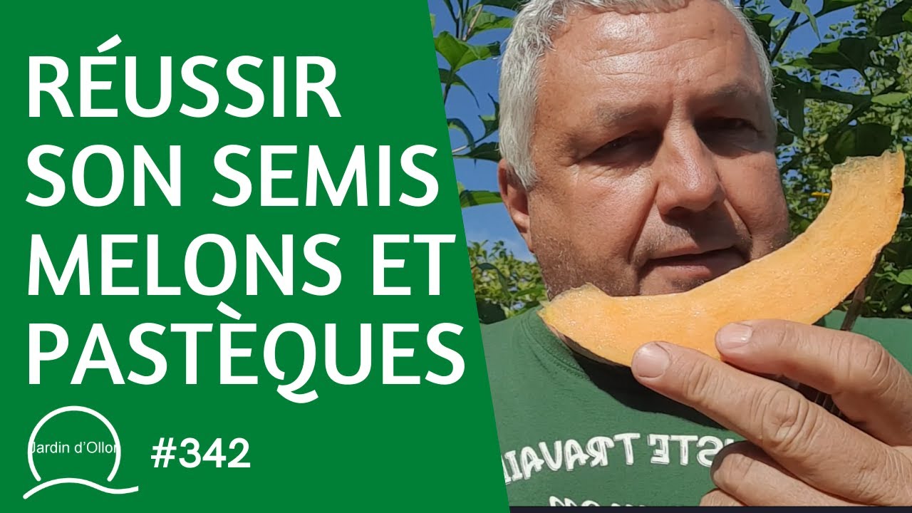 #342-R&eacute;ussir son semis de Melons et de Past&egrave;ques