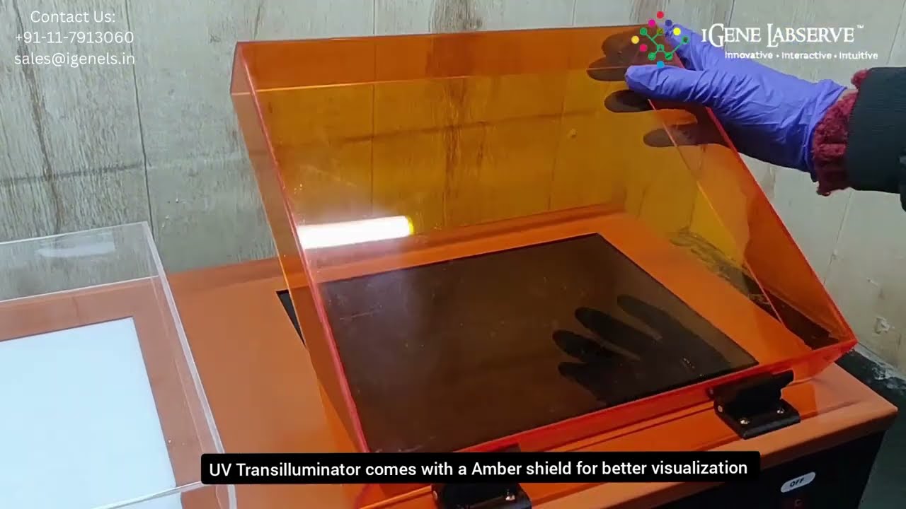 UV + WHITE light Transilluminator | iGene Labserve Pvt. Ltd.