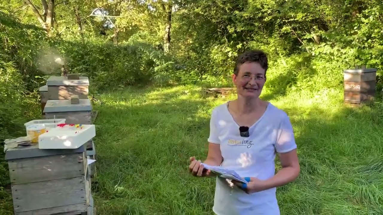 Live von Pias Bienenstand - 08.09.2023