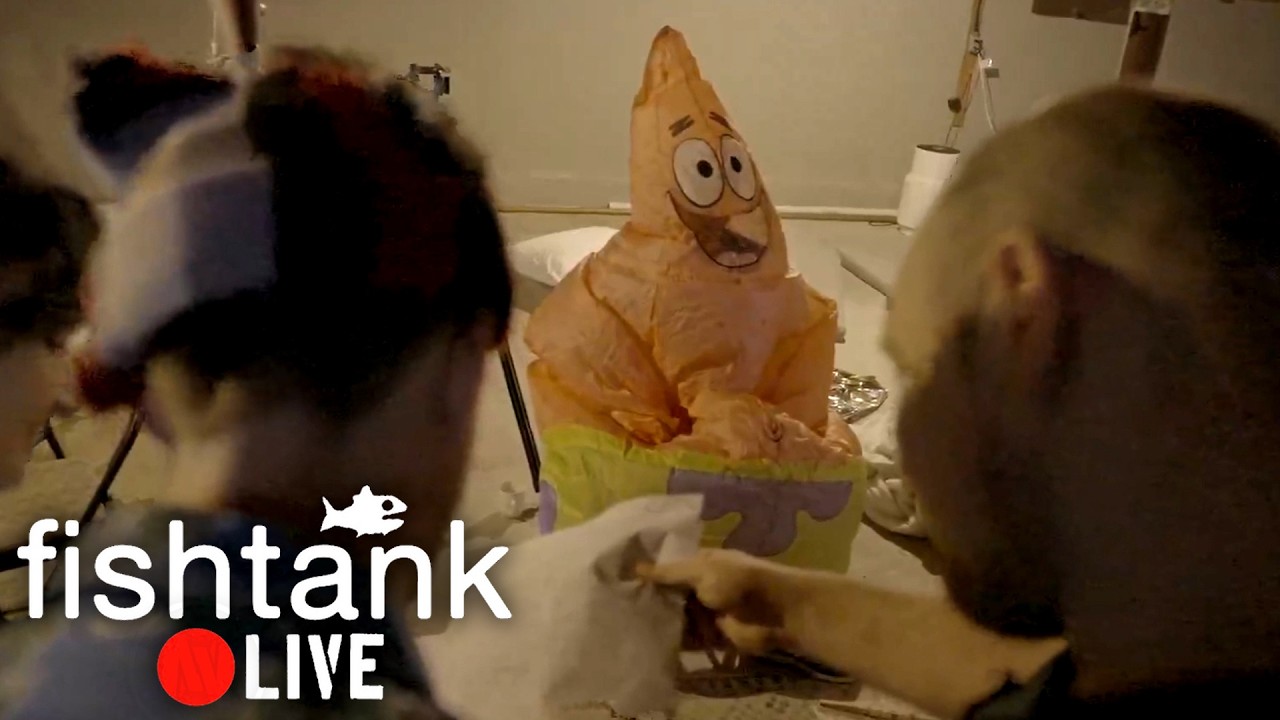 Fishtank LIVE Season 4 | Aryeh writes and performs a musical for Patrick from SpongeBob SquarePants