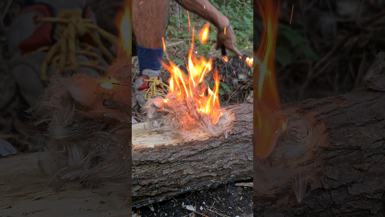 Wie macht man mit einem leeren Feuerzeug ein Feuer🔥- survival hack #survival #bushcraft #outdoors