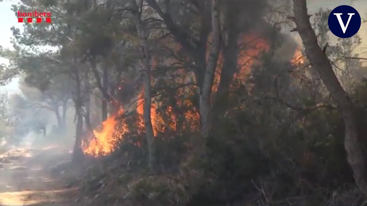 El fuego se extiende con virulencia en El Perelló