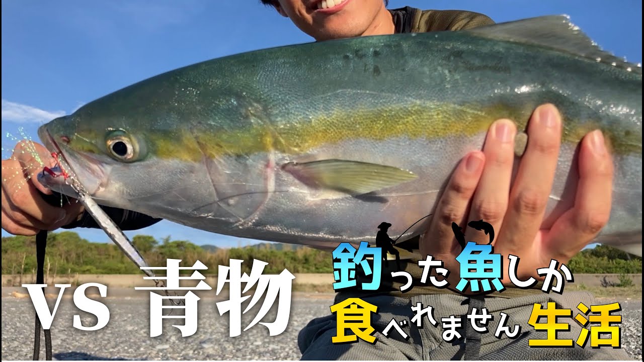 ショアジギングでブリ、ハマチ！青物との死闘！【七里御浜】
